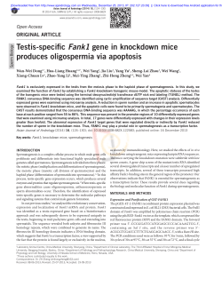 Testis-specific Fank1 gene in knockdown mice produces