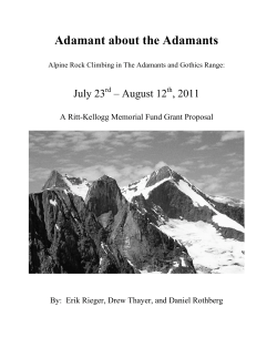 Adamant about the Adamants