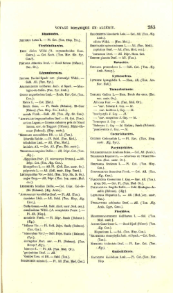 Damn&eacute;es, ZIZYPHUS Lolus L. &mdash; Pl. Cot. (Tun, Hisp. Sic).