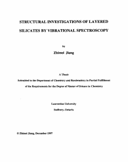 structural investigations of layered silicates by vibrational spectroscopy