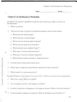 Chapter 8: An Introduction to Metabolism