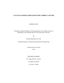 calcium looping processes for carbon capture