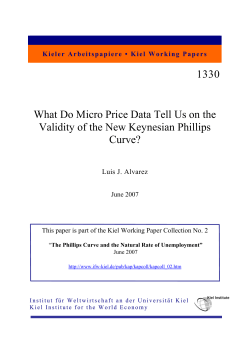 1330 What Do Micro Price Data Tell Us on the Validity of the New