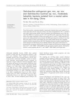 Salinibacillus aidingensis gen. nov., sp. nov. and Salinibacillus