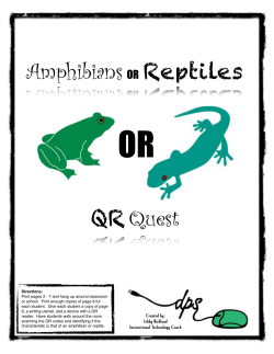 Amphibians and Reptiles