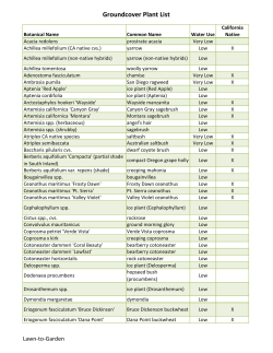 Groundcover Plant List