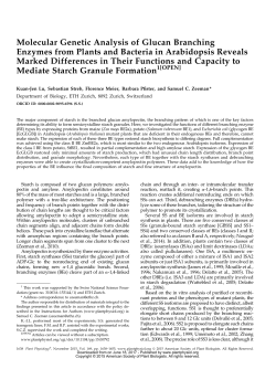 Molecular Genetic Analysis of Glucan Branching