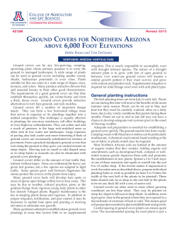 ground covers for northern arizona above 6000 foot elevations