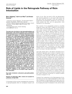 Role of Lipids in the Retrograde Pathway of Ricin Intoxication