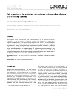 Cell expansion in the epidermis: microtubules, cellulose orientation