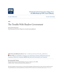The Trouble With Shadow Government