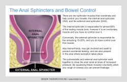 The Anal Sphincters and Bowel Control