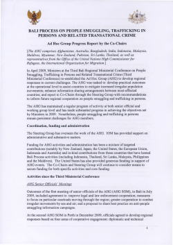 Final Ad Hoc Group Progress Report