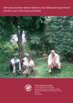 Ethnicity and Inter-ethnic Relations