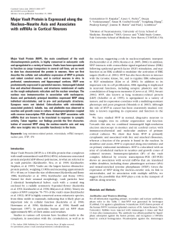 Major Vault Protein is Expressed along the Nucleus-