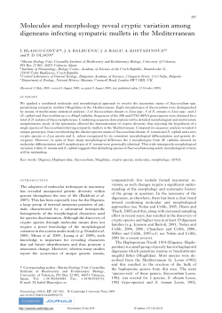 Molecules and morphology reveal cryptic variation