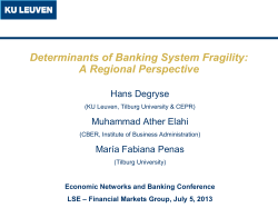 slides - Systemic Risk Centre