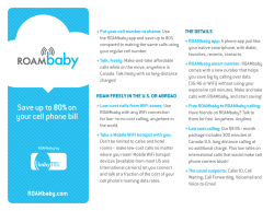 the ROAMbaby brochure