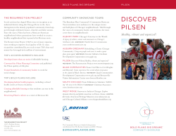discover pilsen - New Communities Program