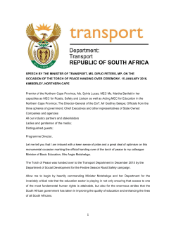 Speech on the occasion of the Torch of Peace handing over