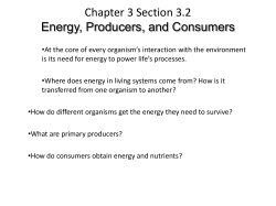 Chapter 3