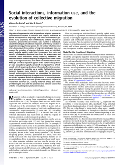 Social interactions, information use, and the evolution