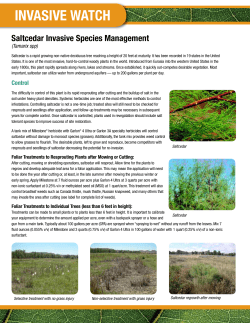 saltcedar Invasive species Management