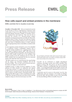 Press Release - EMBL Hamburg