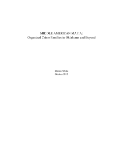 MIDDLE AMERICAN MAFIA: Organized Crime Families in