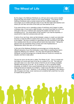 The Wheel of Life - Wellness Workshop