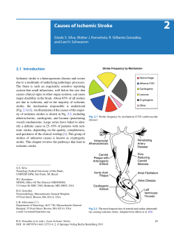 Causes of Ischemic Stroke