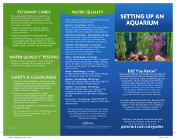 setting up an aquarium - petsmart