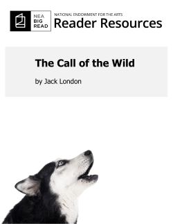 The Call of the Wild
