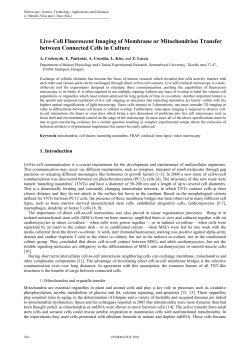 Live-Cell Fluorescent Imaging of Membrane or Mitochondrion