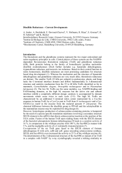 Disulfide Reductases &ndash; Current Developments A. Irmler, A