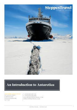Read Our Antarctica Guide