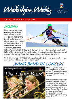 swing band in concert skiing