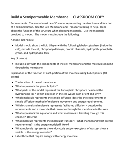 Build a Semipermeable Membrane CLASSROOM COPY