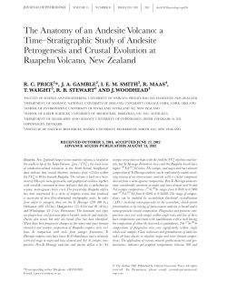 The Anatomy of an Andesite Volcano: a Time