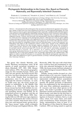 Phylogenetic Relationships in the Genus Mus, Based on Paternally