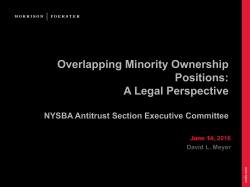 Overlapping Minority Ownership Positions: A Legal