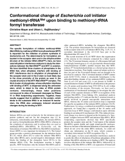 Conformational change of Escherichia coli initiator