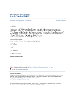 Impact of Phytoplankton on the Biogeochemical Cycling of Iron in