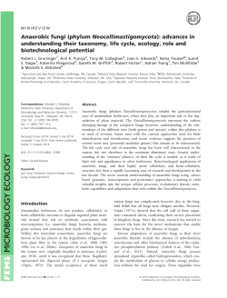 Anaerobic fungi (phylum Neocallimastigomycota): advances in
