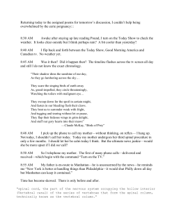 Spinal Cord, The Part Of The Nervous System Occupying The