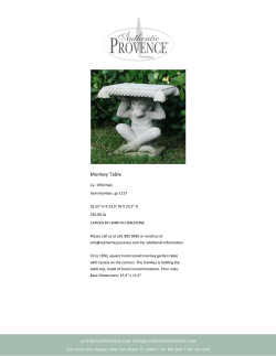Authentic Provence