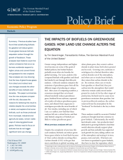 PDF - The German Marshall Fund of the United States