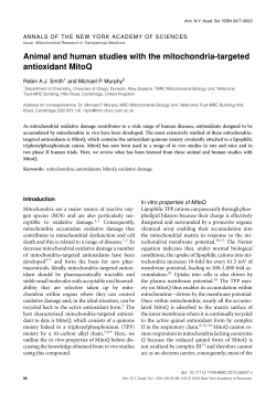 Animal and human studies with the mitochondriatargeted