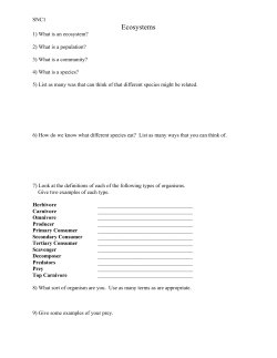 E:\My Documents\snc1p\food chains.wpd