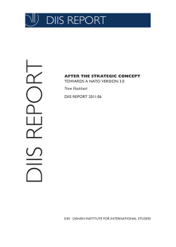 After the Strategic Concept. Towards a NATO Version 3.0